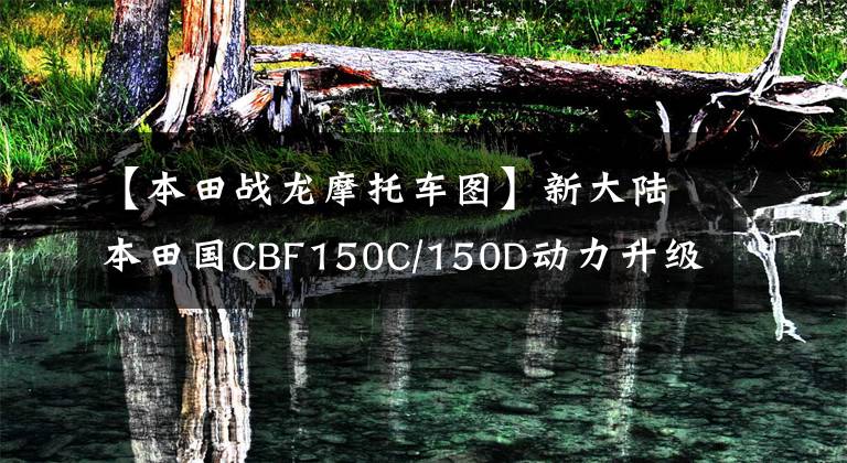 【本田战龙摩托车图】新大陆本田国CBF150C/150D动力升级,新登场