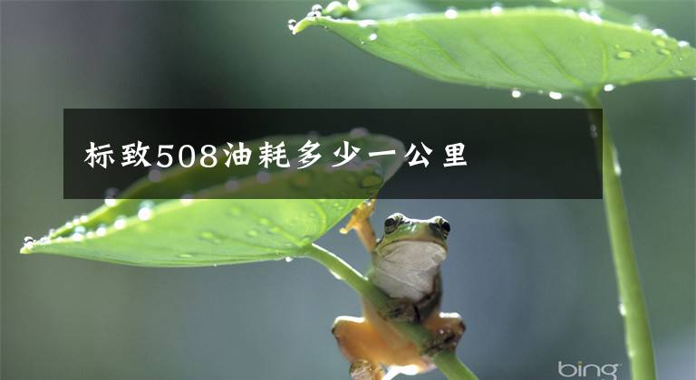 标致508油耗多少一公里