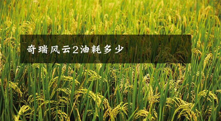 奇瑞风云2油耗多少