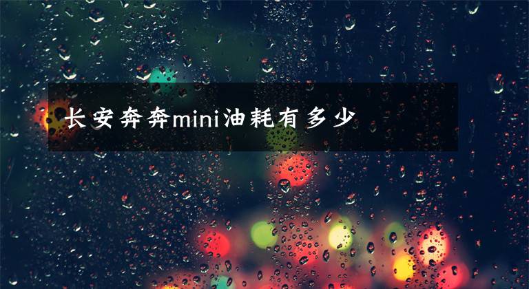 长安奔奔mini油耗有多少