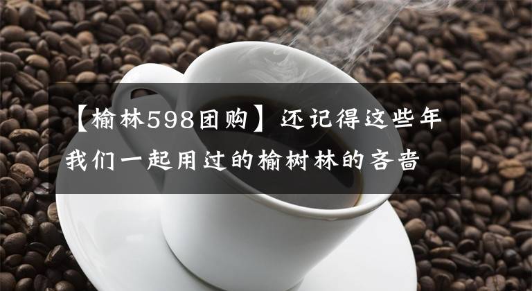 【榆林598团购】还记得这些年我们一起用过的榆树林的吝啬吗？