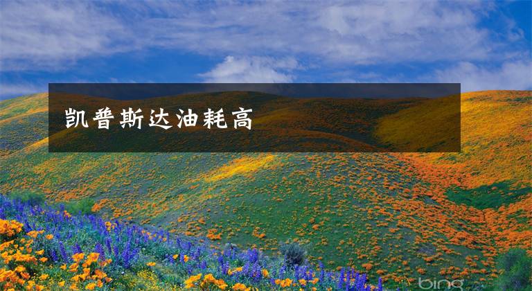 凯普斯达油耗高