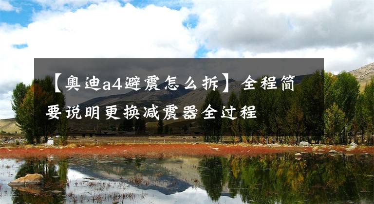 【奥迪a4避震怎么拆】全程简要说明更换减震器全过程