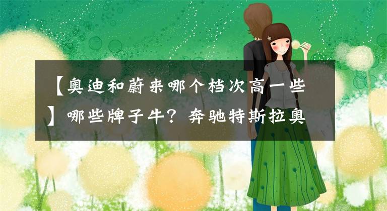 【奥迪和蔚来哪个档次高一些】哪些牌子牛?奔驰特斯拉奥迪等15个豪华品牌,真实成交价大排名