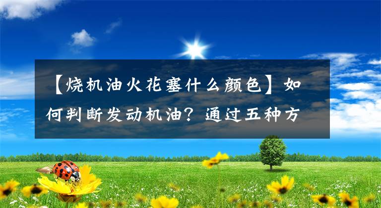 【烧机油火花塞什么颜色】如何判断发动机油?通过五种方法可以轻松地做出正确的判断