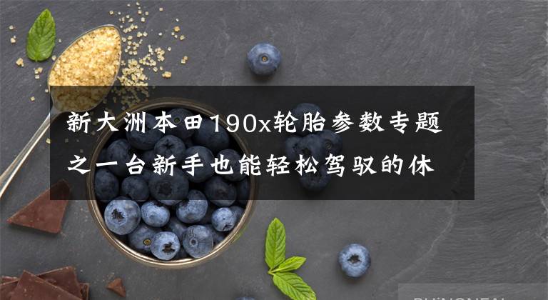新大洲本田190x轮胎参数专题之一台新手也能轻松驾驭的休旅车---新大洲本田190X实测