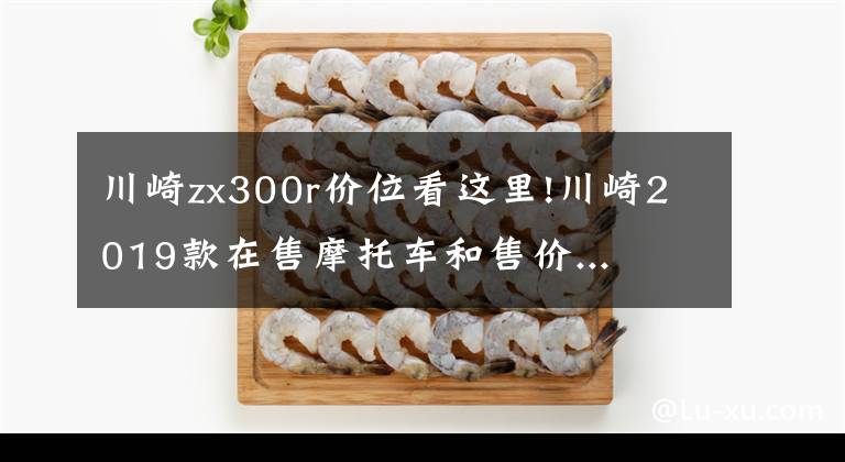川崎zx300r价位看这里!川崎2019款在售摩托车和售价...