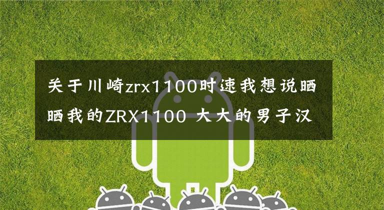 关于川崎zrx1100时速我想说晒晒我的ZRX1100 大大的男子汉的约定!