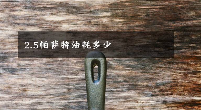 2.5帕萨特油耗多少