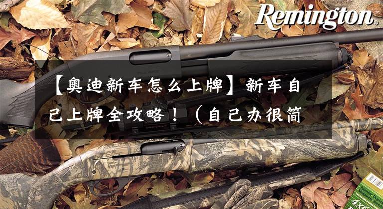 【奥迪新车怎么上牌】新车自己上牌全攻略！（自己办很简单，最快30分钟拿到牌照～）