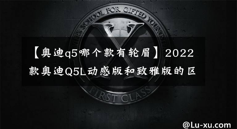 【奥迪q5哪个款有轮眉】2022款奥迪Q5L动感版和致雅版的区别