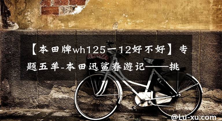 【本田牌wh125一12好不好】专题五羊-本田迅鲨春游记——挑战桂东南第一峰