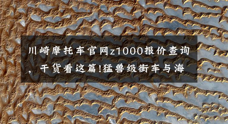川崎摩托车官网z1000报价查询，干货看这篇!猛兽级街车与海外同步发售，川崎2019款Z1000/Z1000R售价15.4万起