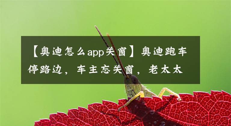 【奥迪怎么app关窗】奥迪跑车停路边,车主忘关窗,老太太这个操作……服了!