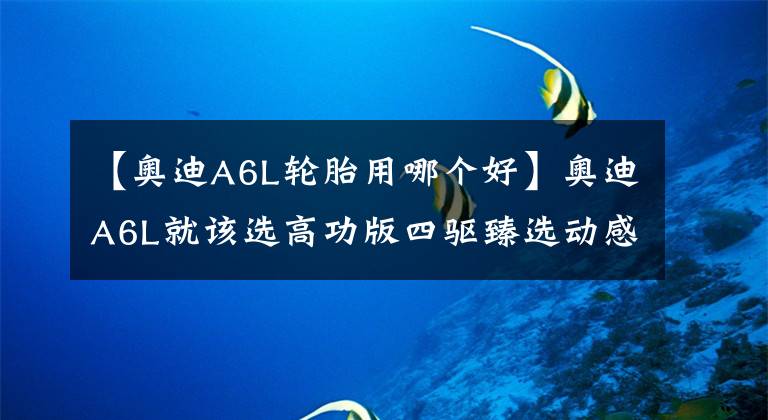 【奥迪A6L轮胎用哪个好】奥迪A6L就该选高功版四驱臻选动感型,优惠巨大,值得