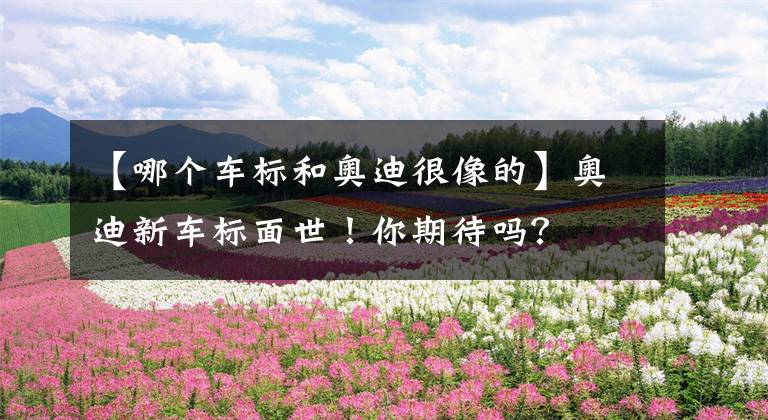 【哪个车标和奥迪很像的】奥迪新车标面世！你期待吗？