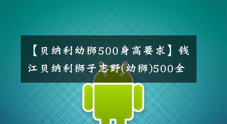 【贝纳利幼狮500身高要求】钱江贝纳利狮子志野(幼狮)500全国第一次考试