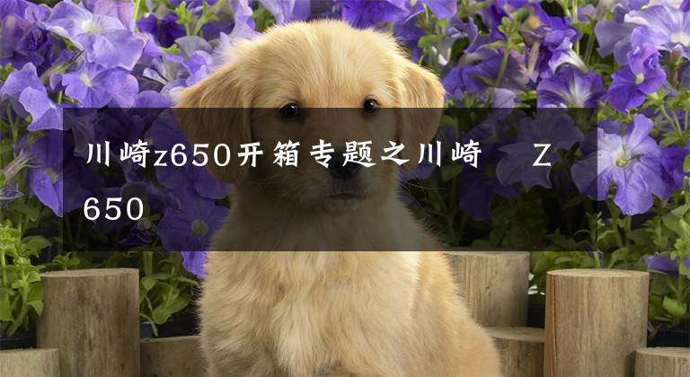 川崎z650开箱专题之川崎− Z650