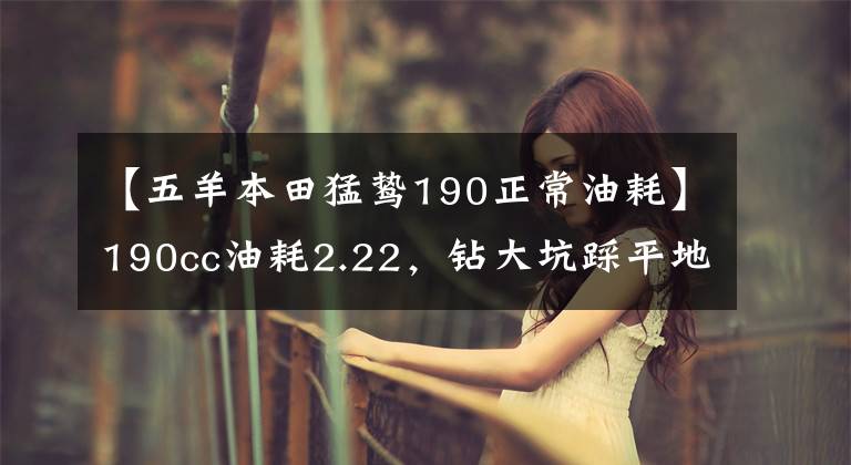 【五羊本田猛鸷190正常油耗】190cc油耗2.22,钻大坑踩平地面。