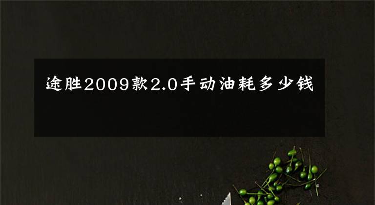 途胜2009款2.0手动油耗多少钱