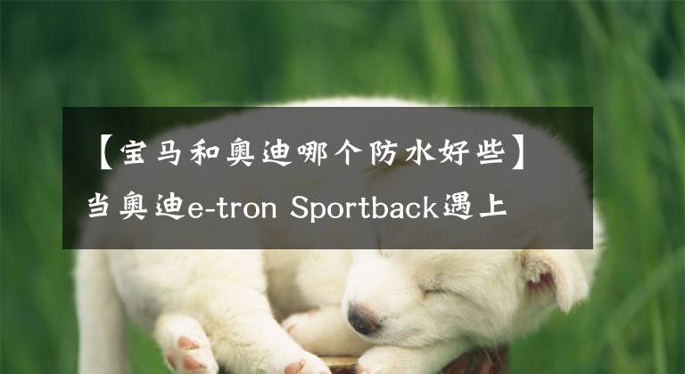 【宝马和奥迪哪个防水好些】当奥迪e-tron Sportback遇上高合HiPhi X，这一次，我们“没在怕”