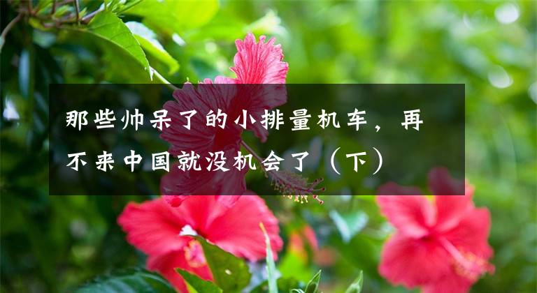 那些帅呆了的小排量机车,再不来中国就没机会了(下)