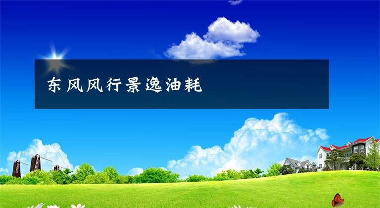 东风风行景逸油耗