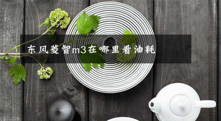 东风菱智m3在哪里看油耗