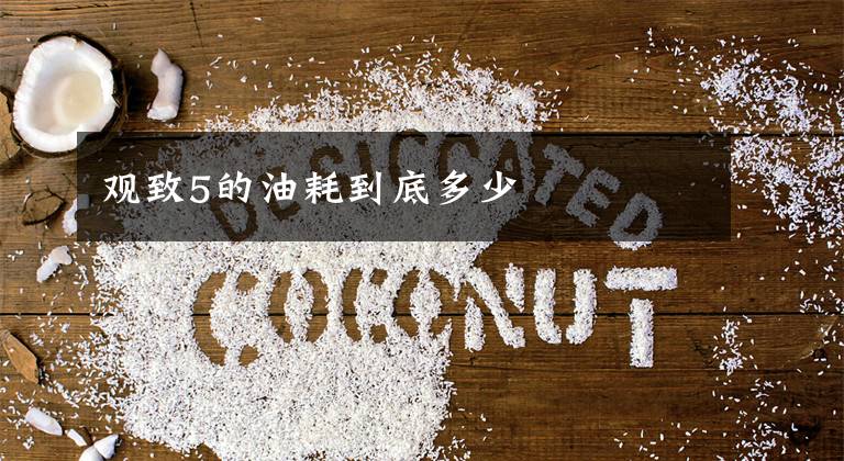 观致5的油耗到底多少