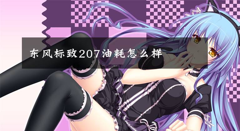 东风标致207油耗怎么样