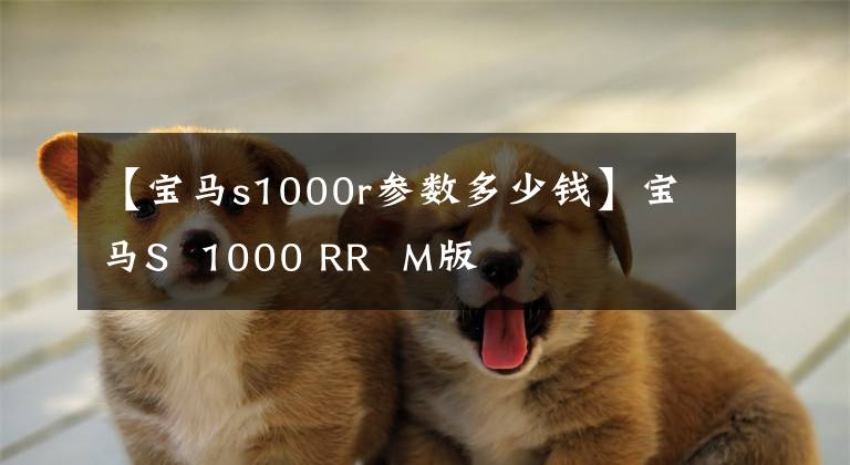 【宝马s1000r参数多少钱】宝马S 1000 RR M版