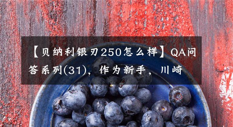 【贝纳利银刃250怎么样】QA问答系列(31),作为新手,川崎昭信能驾驭吗?