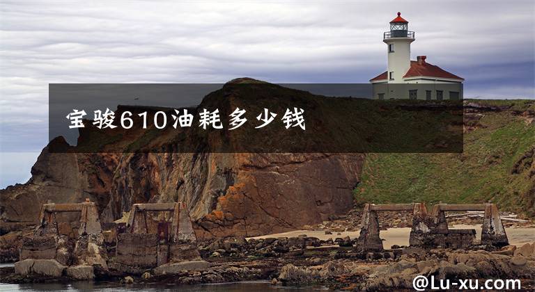 宝骏610油耗多少钱