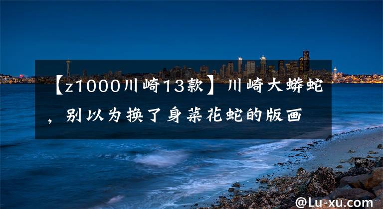 【z1000川崎13款】川崎大蟒蛇，别以为换了身菜花蛇的版画我就不认识你了-Z1000