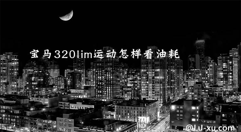 宝马320lim运动怎样看油耗