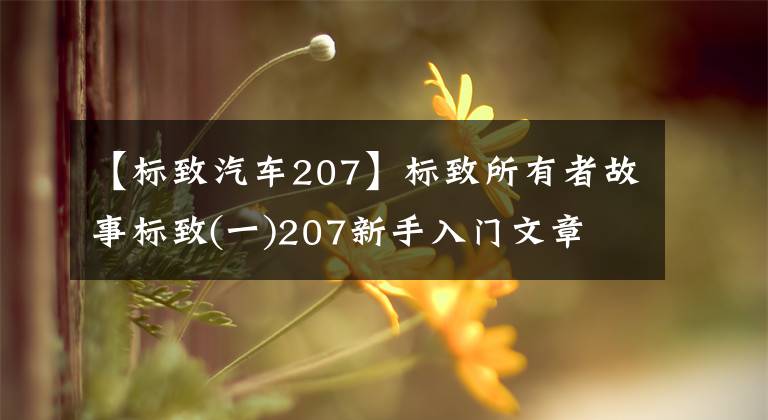 【标致汽车207】标致所有者故事标致(一)207新手入门文章