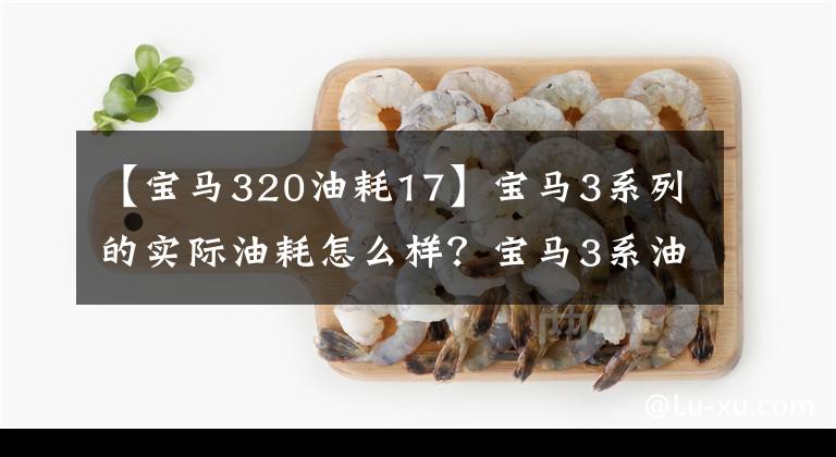 【宝马320油耗17】宝马3系列的实际油耗怎么样?宝马3系油耗不高,我们一起看看吧。
