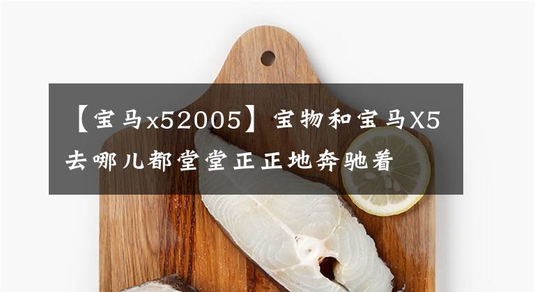 【宝马x52005】宝物和宝马X5去哪儿都堂堂正正地奔驰着