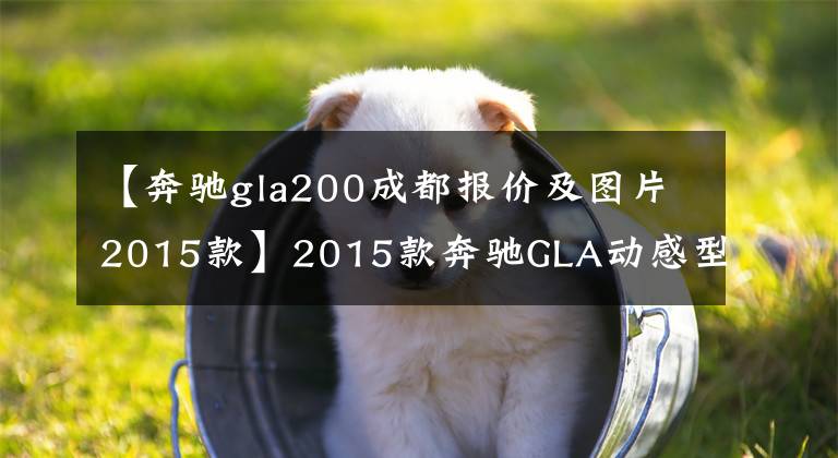 【奔驰gla200成都报价及图片2015款】2015款奔驰GLA动感型20万搞定,果断删掉奥迪的联系方式