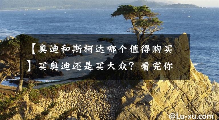 【奥迪和斯柯达哪个值得购买】买奥迪还是买大众?看完你就知道了!