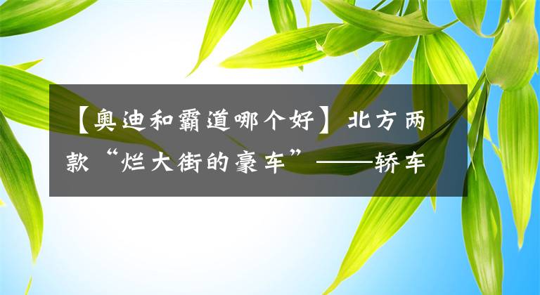 【奥迪和霸道哪个好】北方两款“烂大街的豪车”——轿车奥迪A6，越野车普拉多