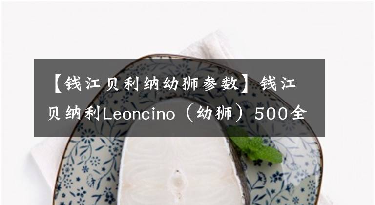 【钱江贝利纳幼狮参数】钱江贝纳利Leoncino（幼狮）500全国首测