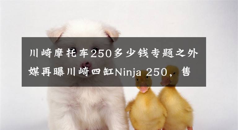 川崎摩托车250多少钱专题之外媒再曝川崎四缸Ninja 250,售价约在5-6万元之间?
