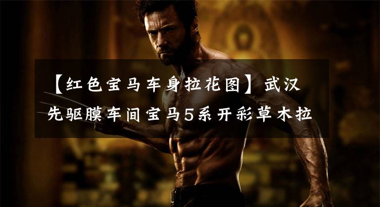 【红色宝马车身拉花图】武汉先驱膜车间宝马5系开彩草木拉丝红色案例颜色变化不同基质刺激