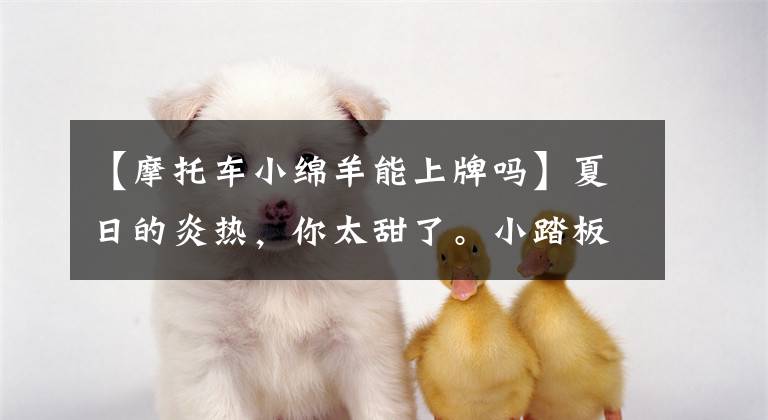 【摩托车小绵羊能上牌吗】夏日的炎热,你太甜了。小踏板卡旅行,你学废了吗?