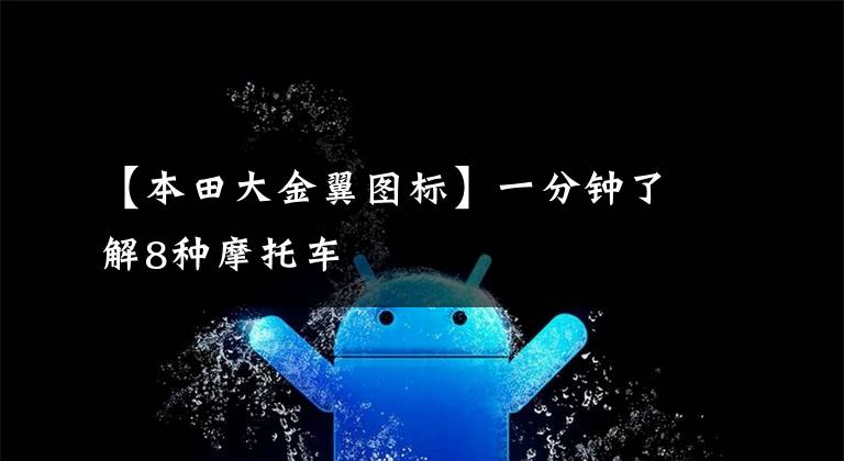 【本田大金翼图标】一分钟了解8种摩托车