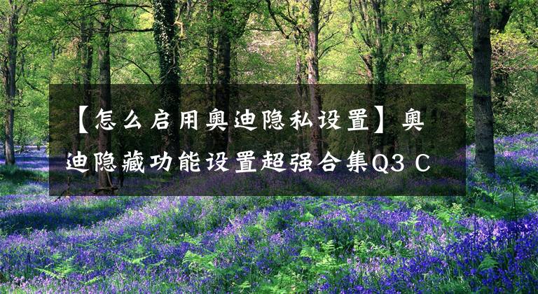 【怎么启用奥迪隐私设置】奥迪隐藏功能设置超强合集Q3 C6 C7篇