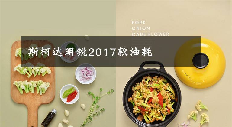 斯柯达明锐2017款油耗