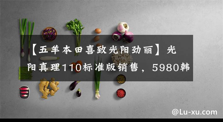 【五羊本田喜致光阳劲丽】光阳真理110标准版销售,5980韩元!
