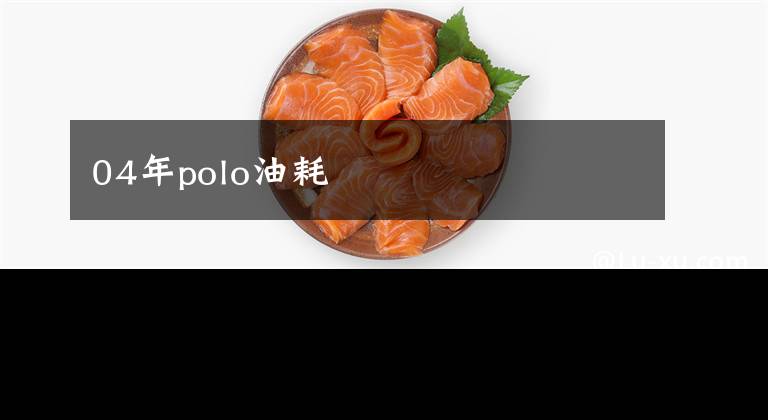 04年polo油耗